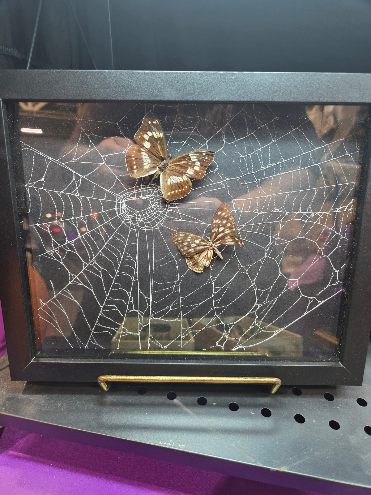 Spiderweb Medium