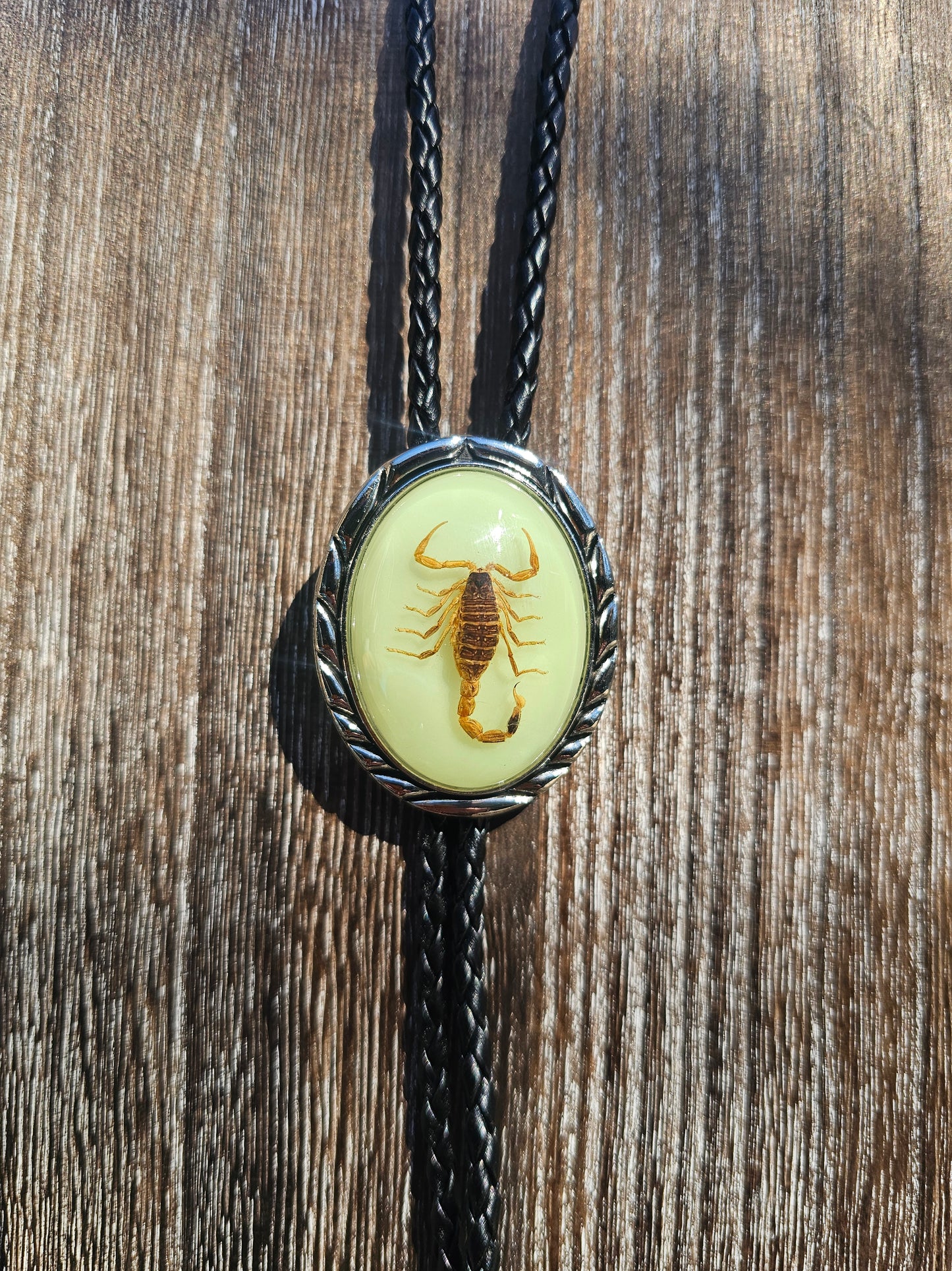 Scorpion bolo tie