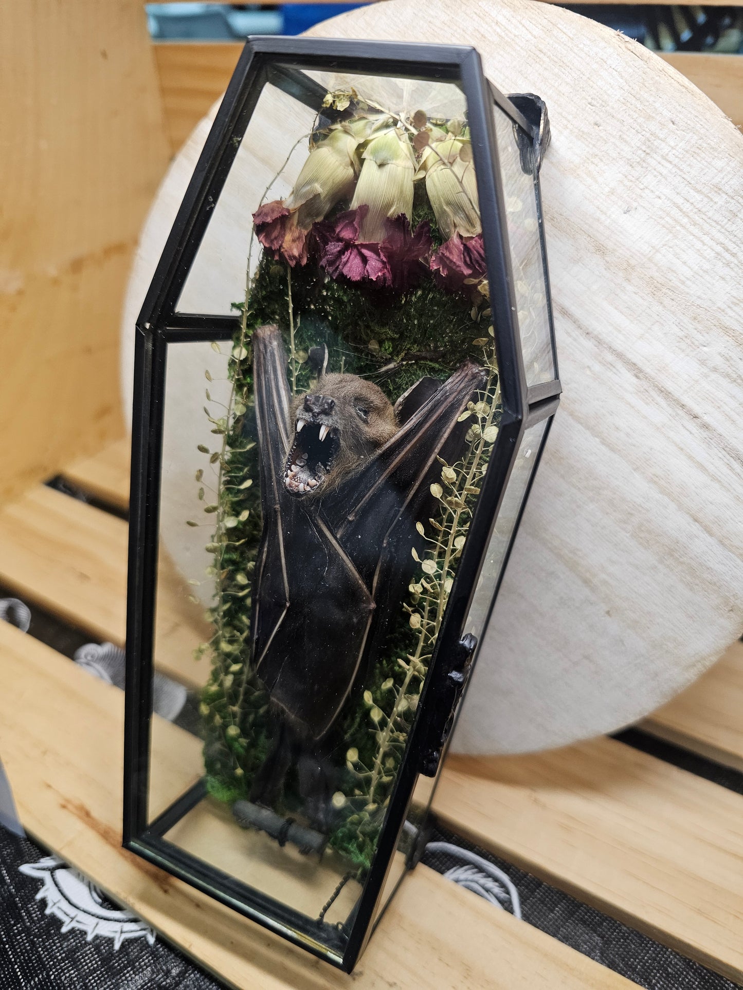 Glass coffin - bat