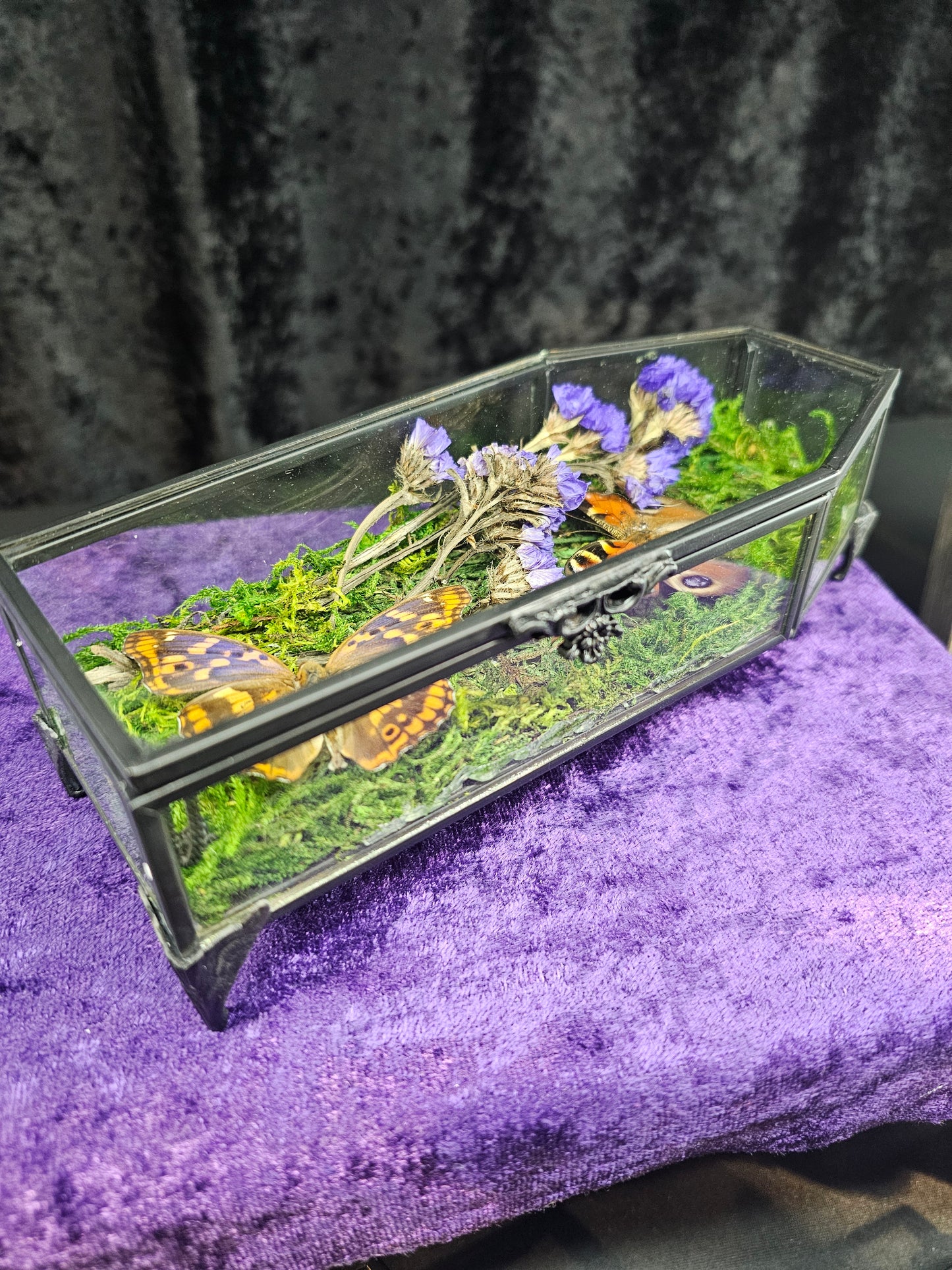 Glass coffin box
