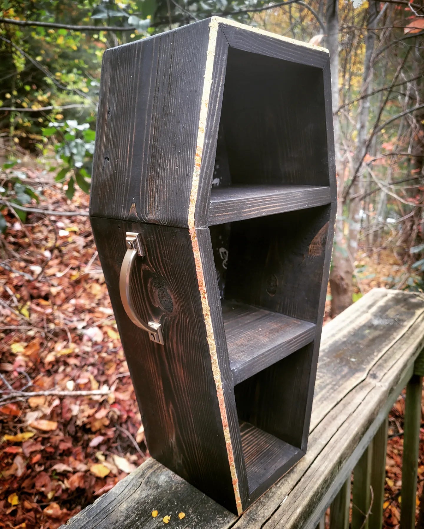 Coffin Shelves - Midnight Moth Goddess