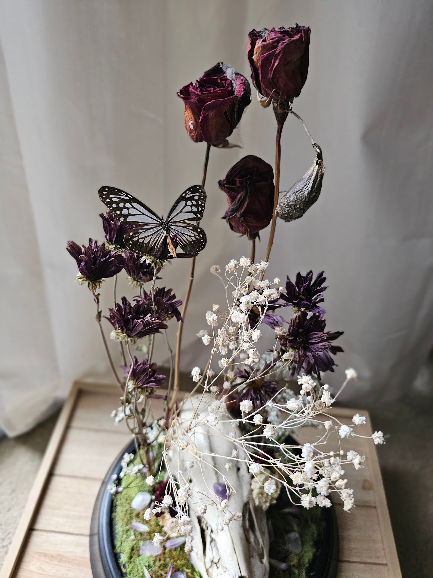 Worlds In A Jar - Wonderland