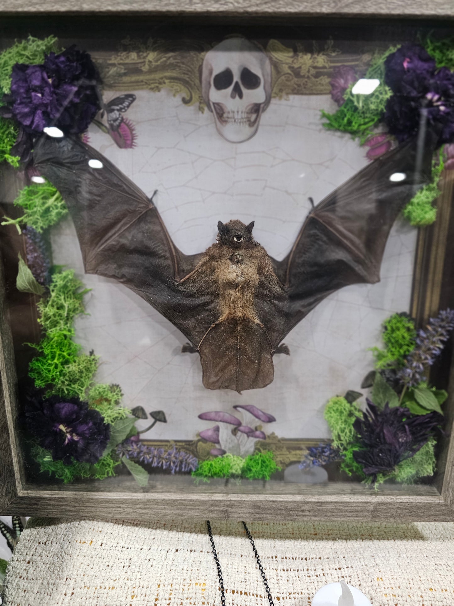 Shadow box - Dracula