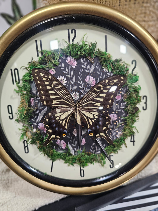 Butterfly Clock - Time Stands Still