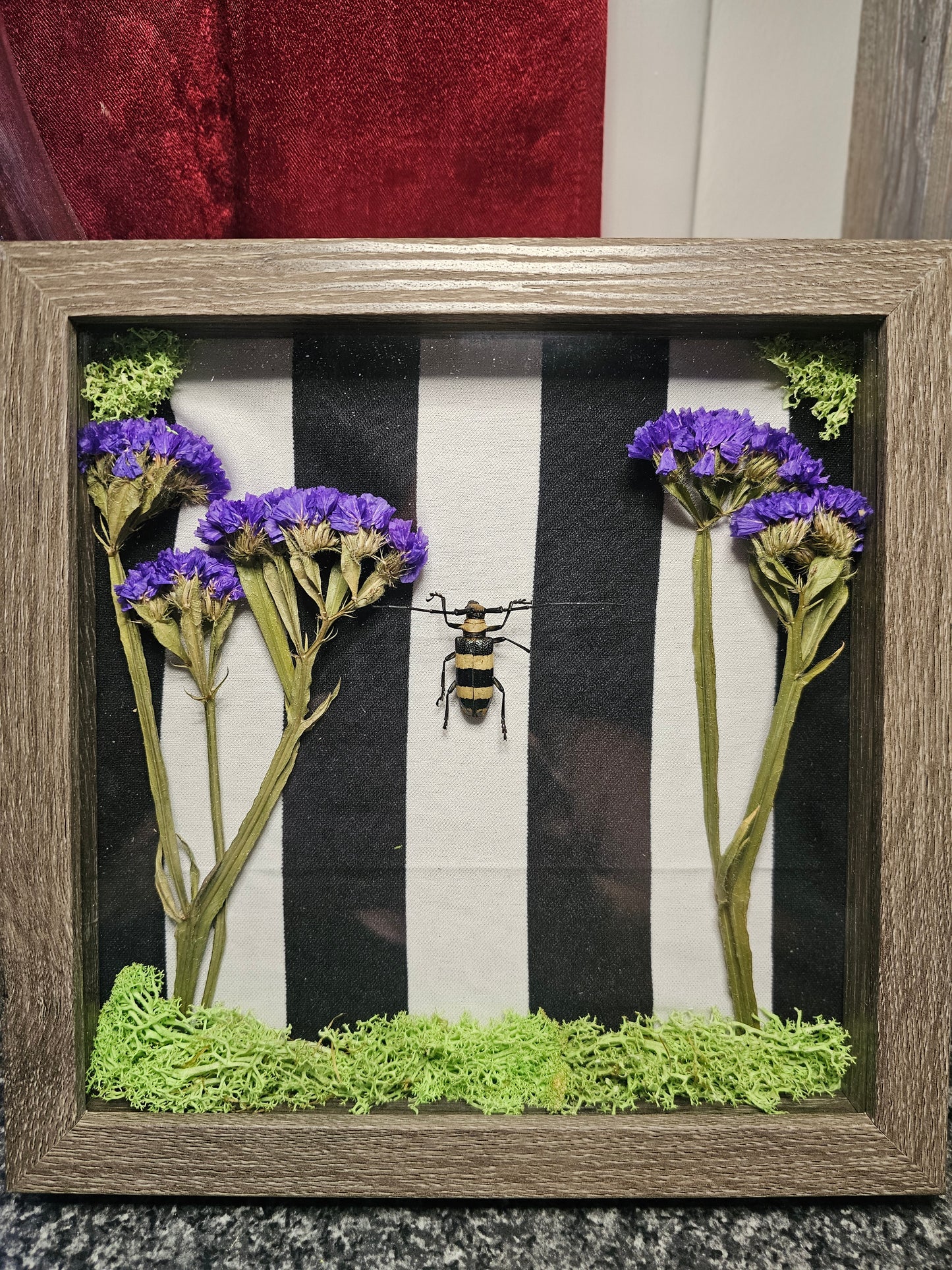 Beetlejuice shadow box