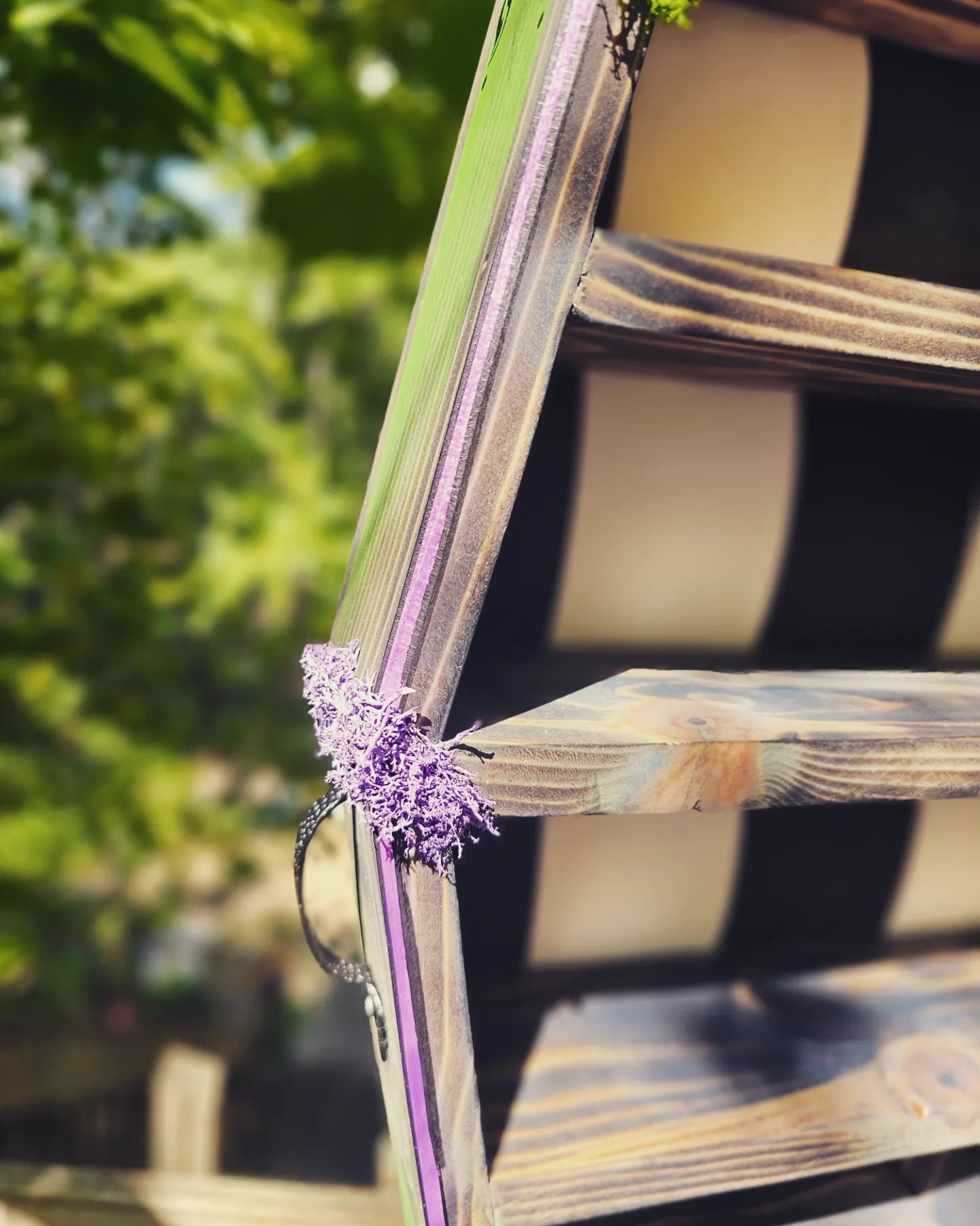 Coffin Shelf - 2 ft Beetlejuice