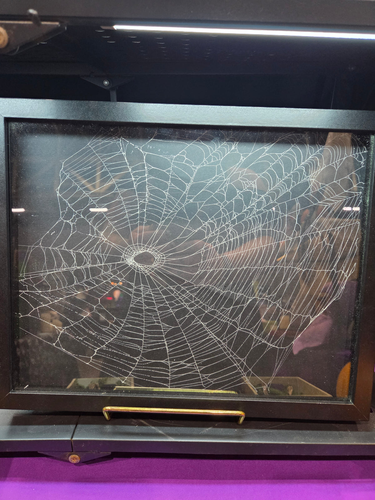 Spiderweb Large
