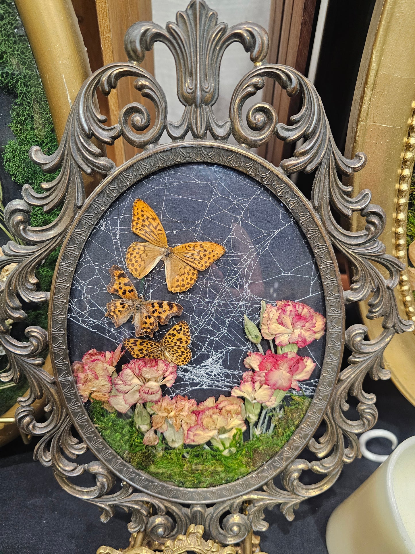 Small bubble frame with real spider web