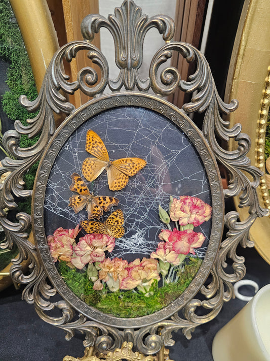 Small bubble frame with real spider web