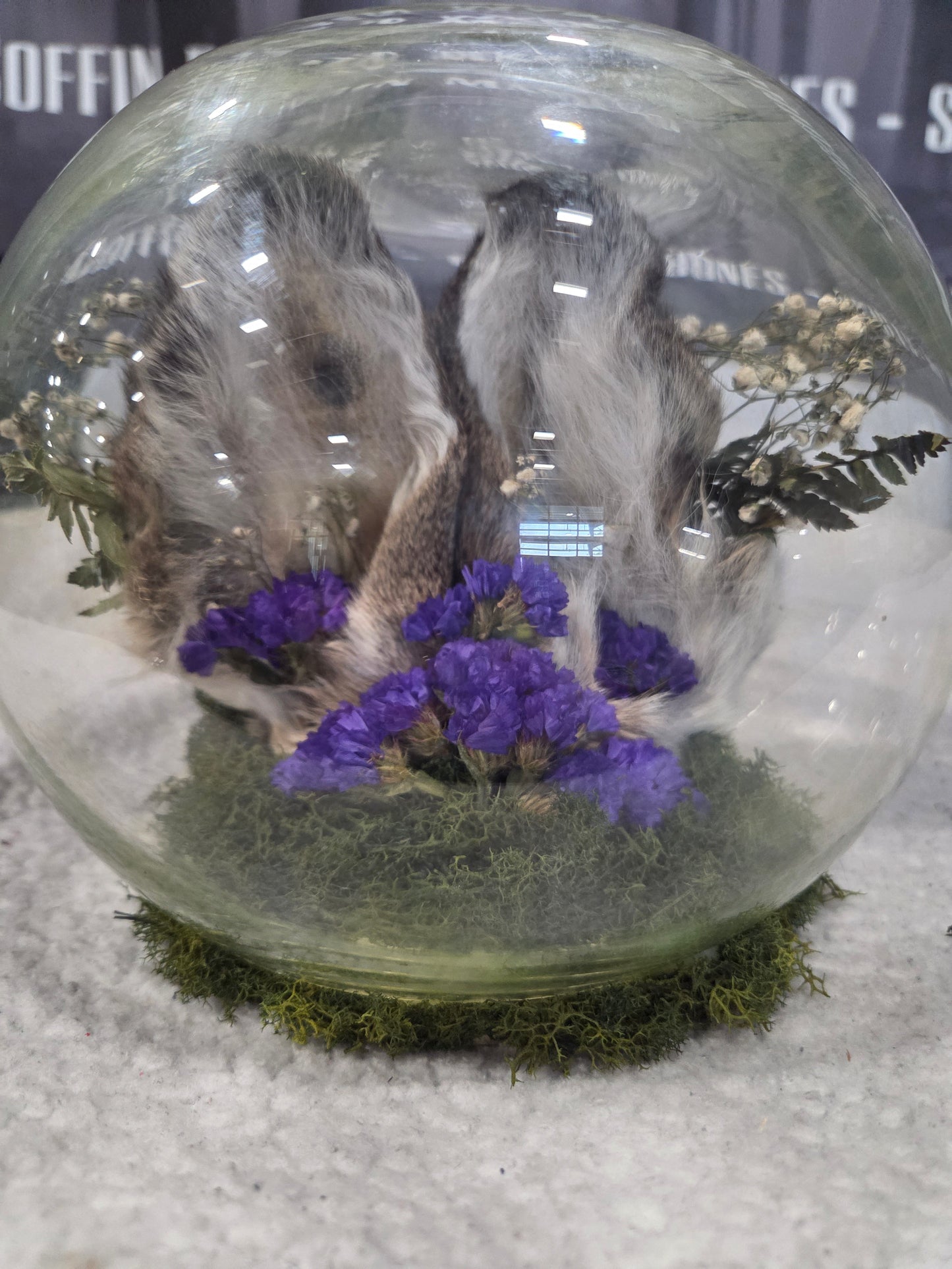 Deer Ear Dome