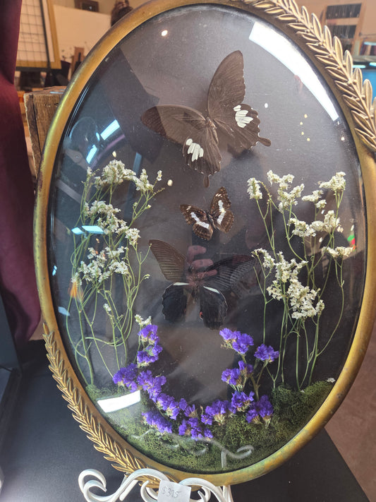 Large bubble frame