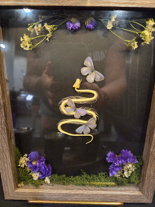 Shadow box - snake