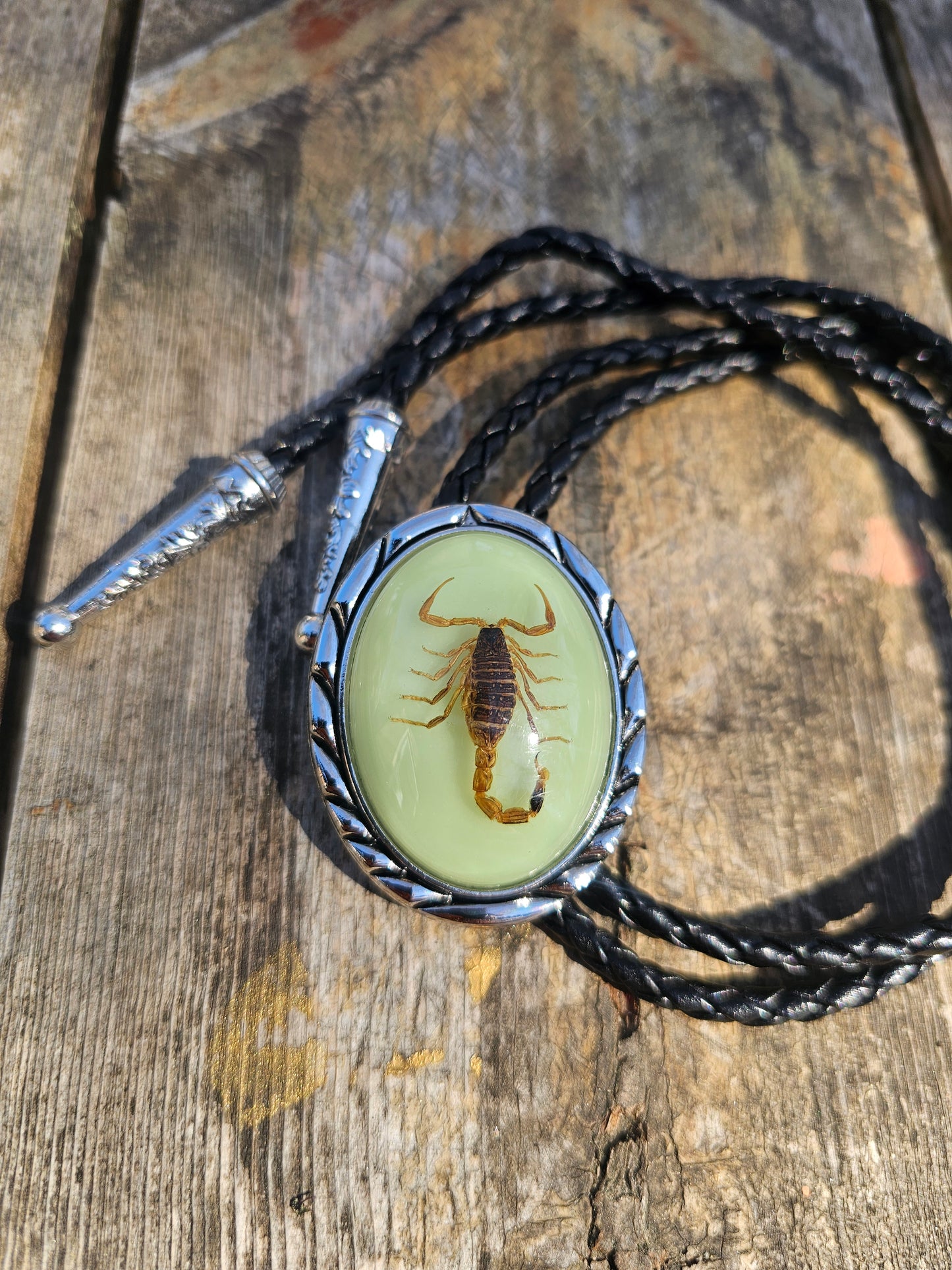 Scorpion bolo tie