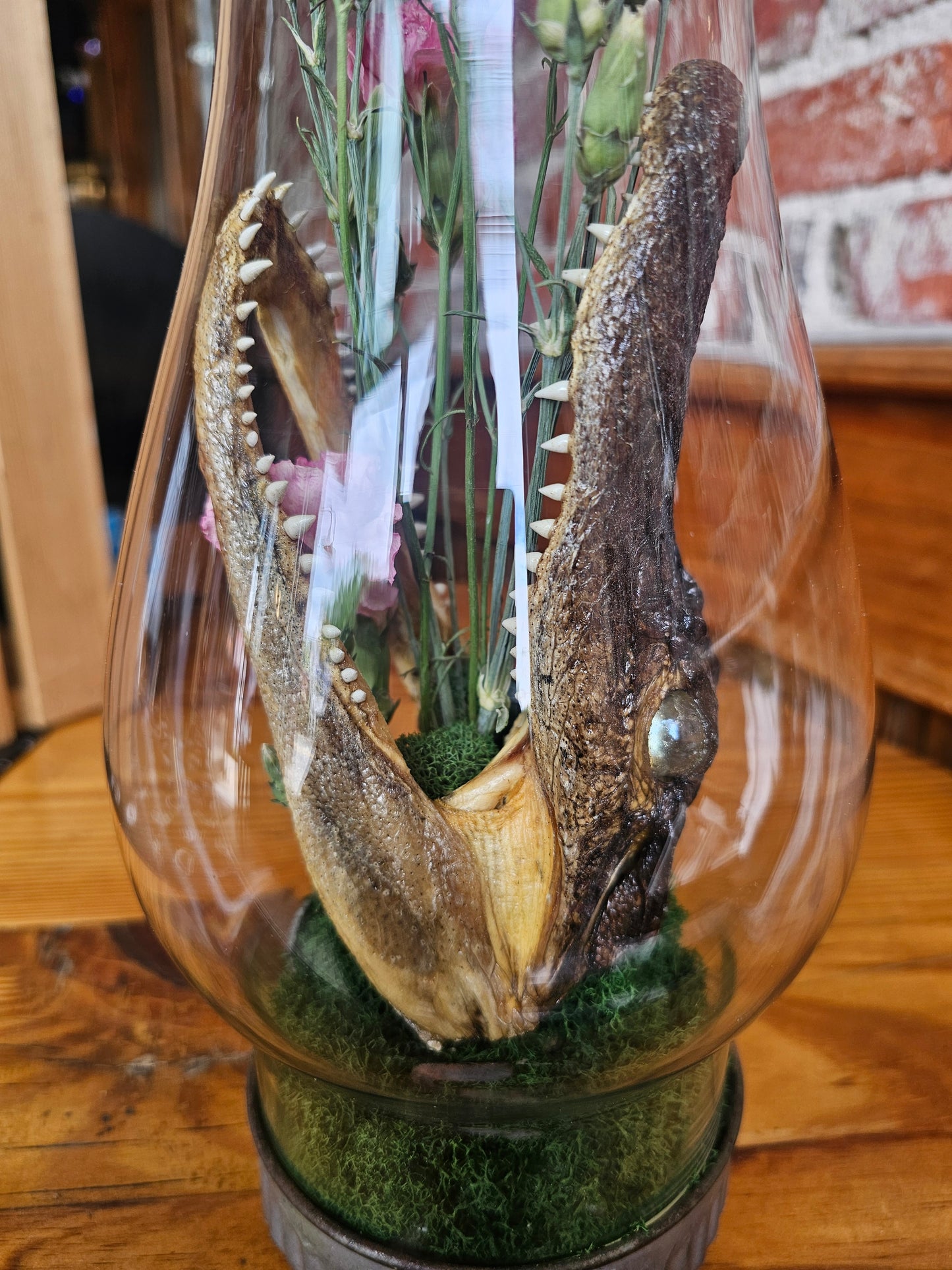 Oil lamp: Gator