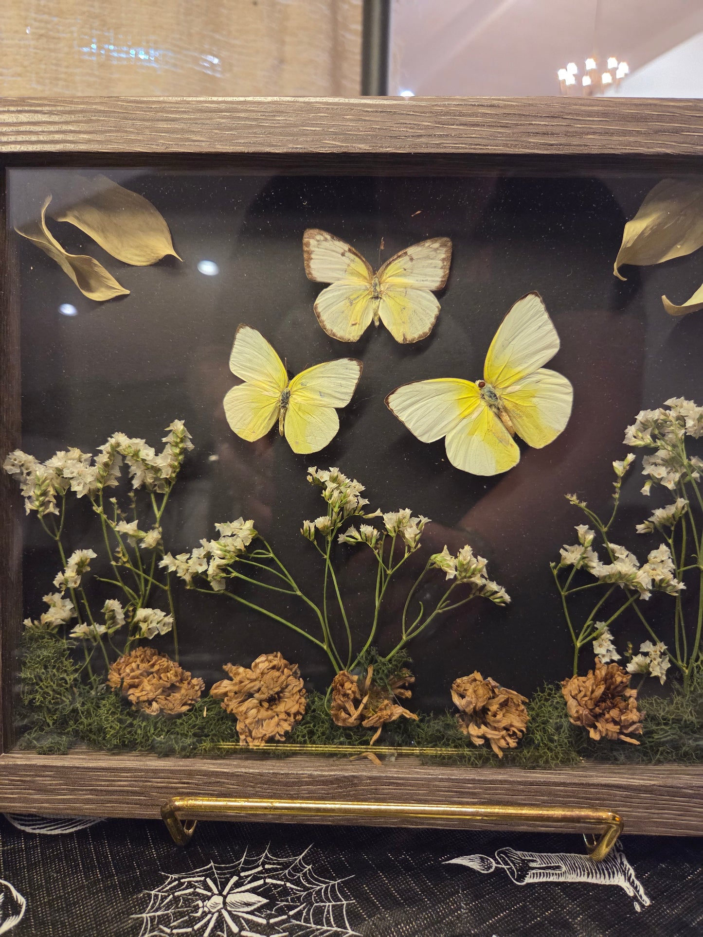 Shadowbox - butterflies