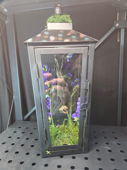 Bat lantern