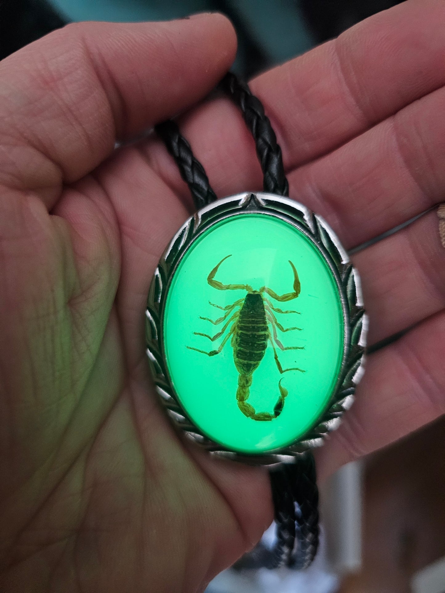 Scorpion bolo tie