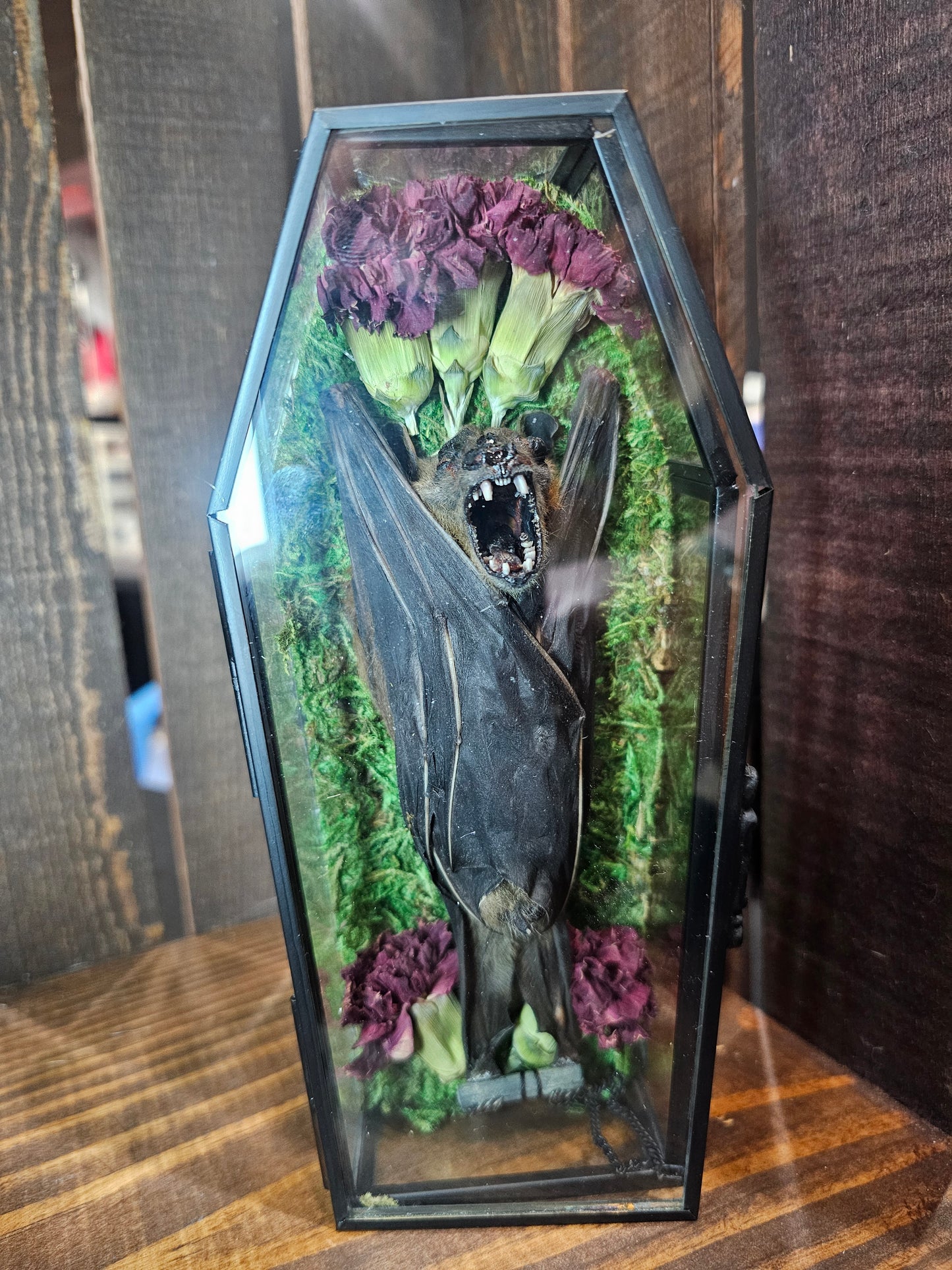 Bat coffin