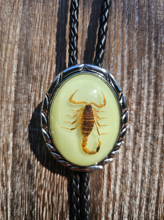 Scorpion bolo tie
