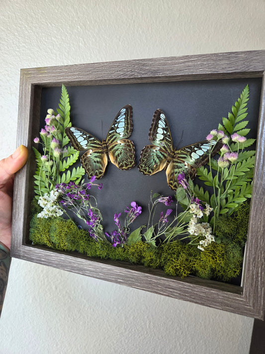 Shadow box - twins