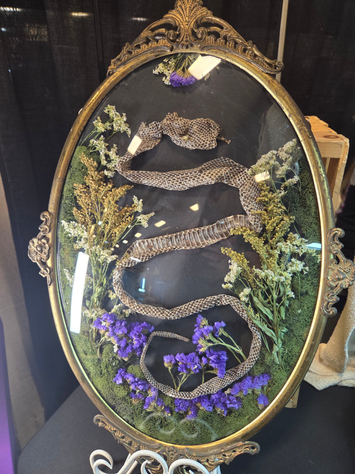 Bubble Frame - Snake Skin