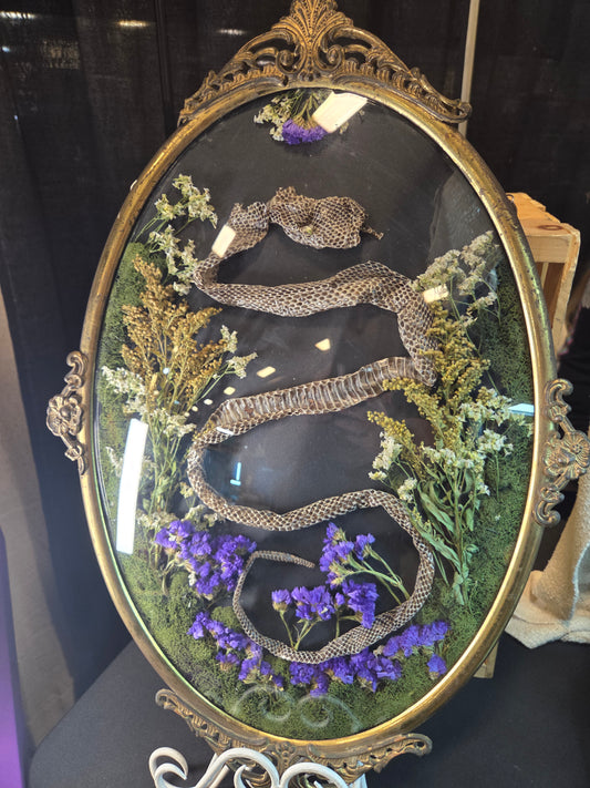 Bubble Frame - Snake Skin