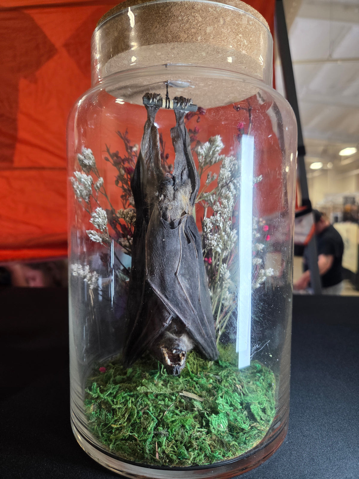 Batty Bat