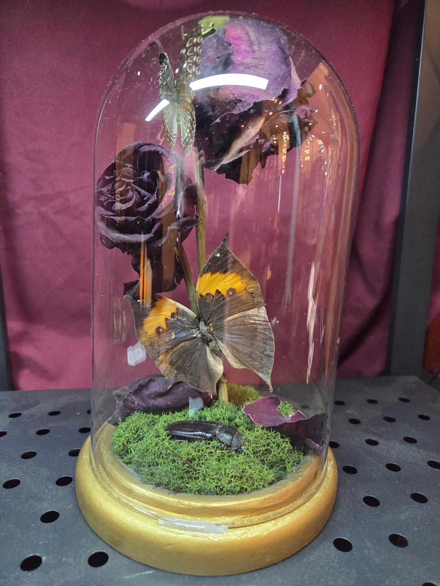 Dome - roses