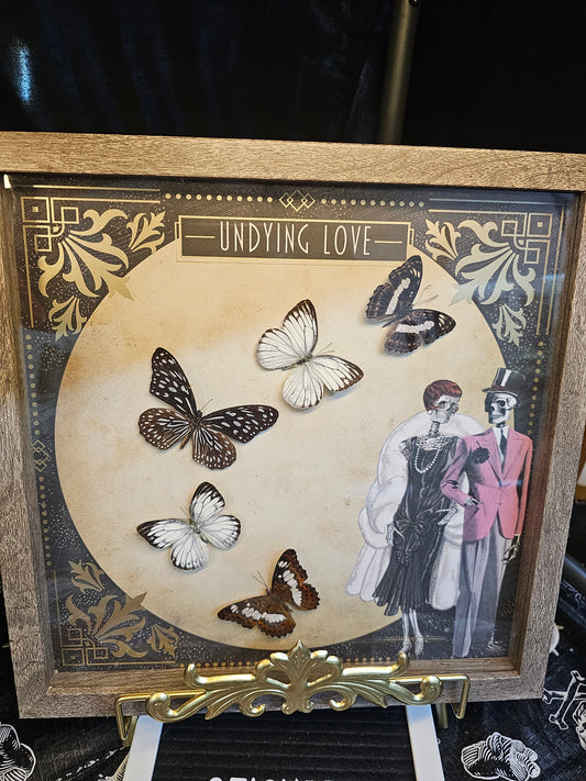 Shadow Box - Undying Love