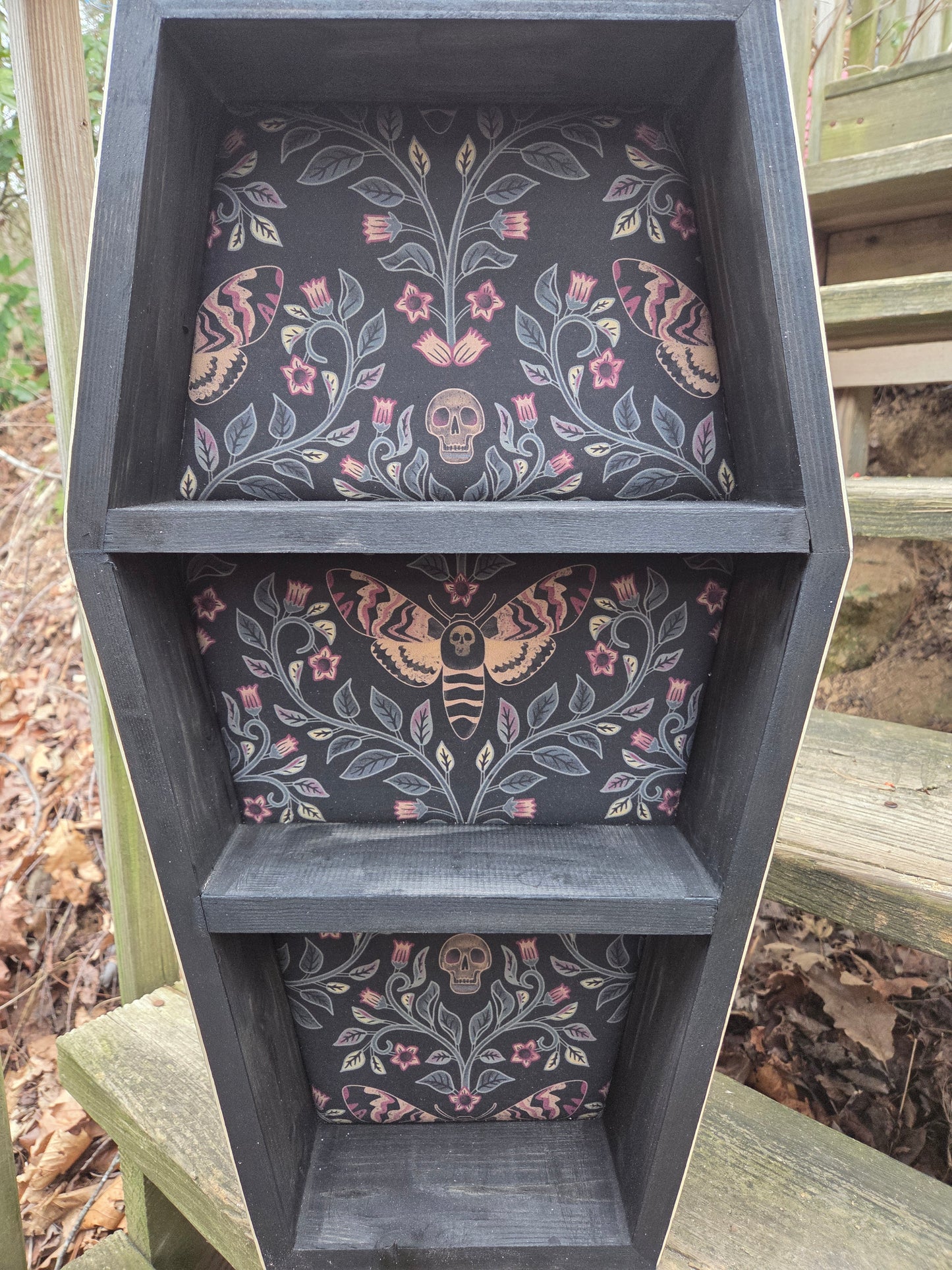 Coffin Shelf - 2 FT Death Head Moth
