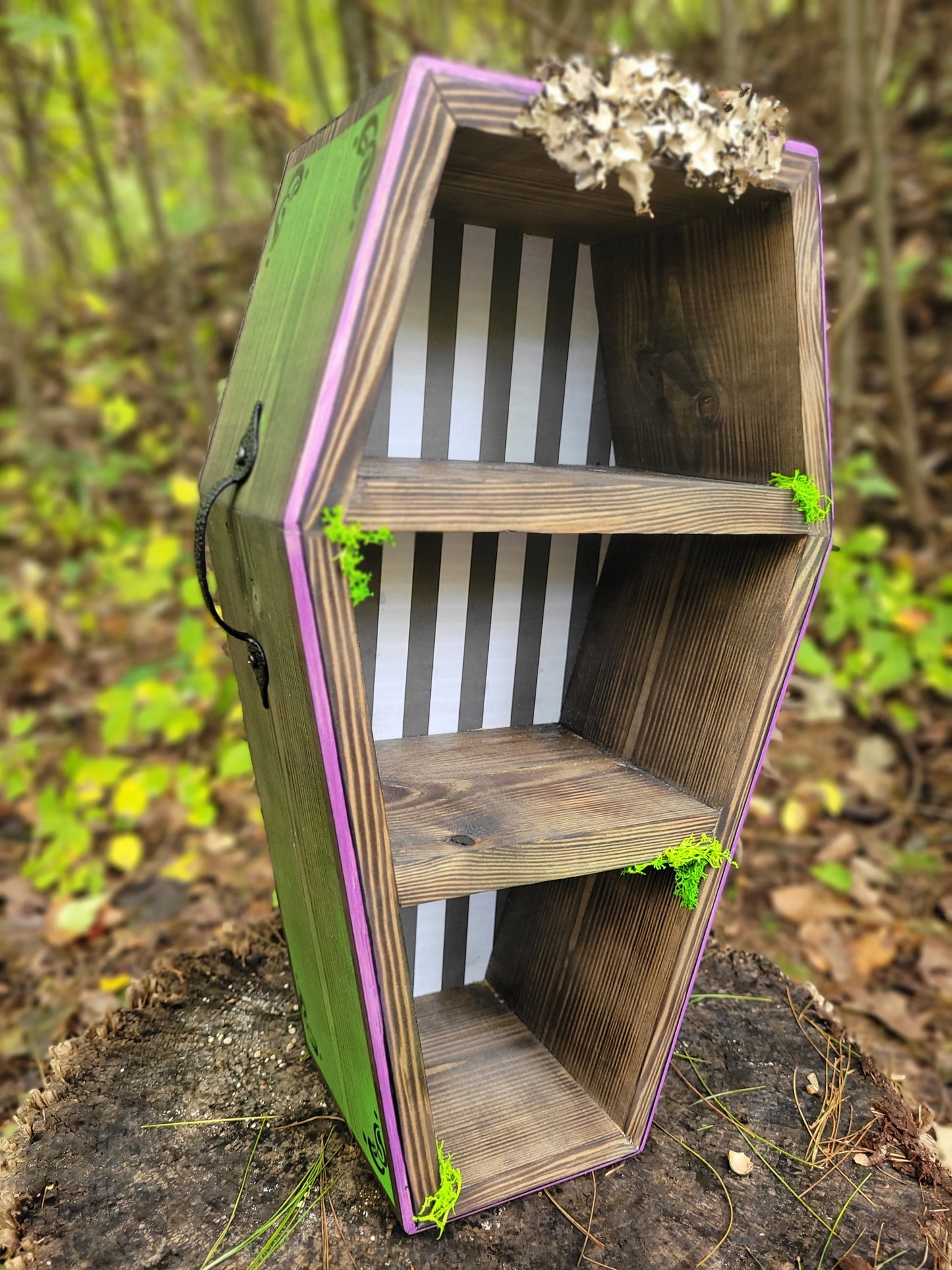 Coffin Shelves - BEETLEGEUSE