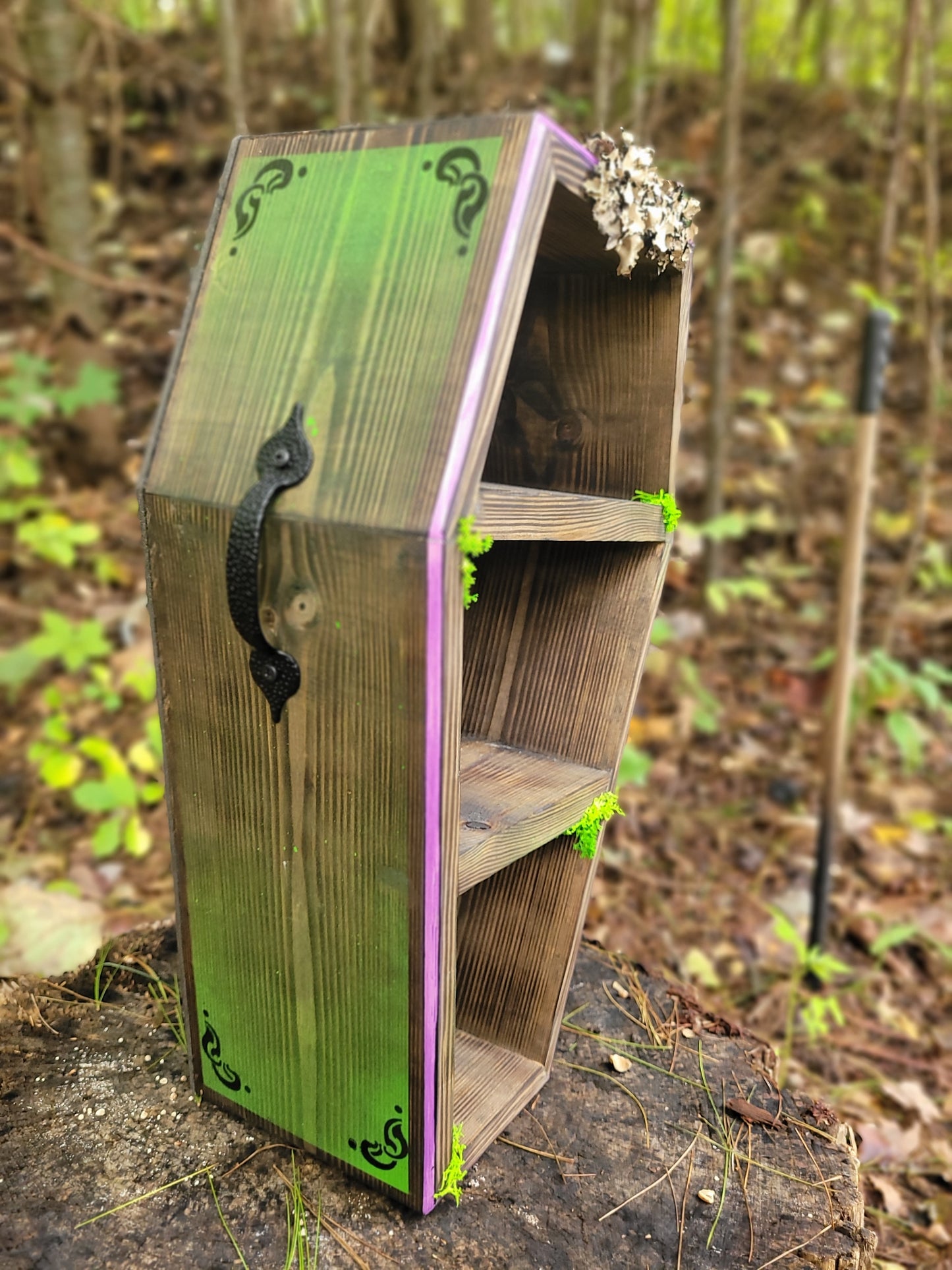 Coffin Shelves - BEETLEGEUSE