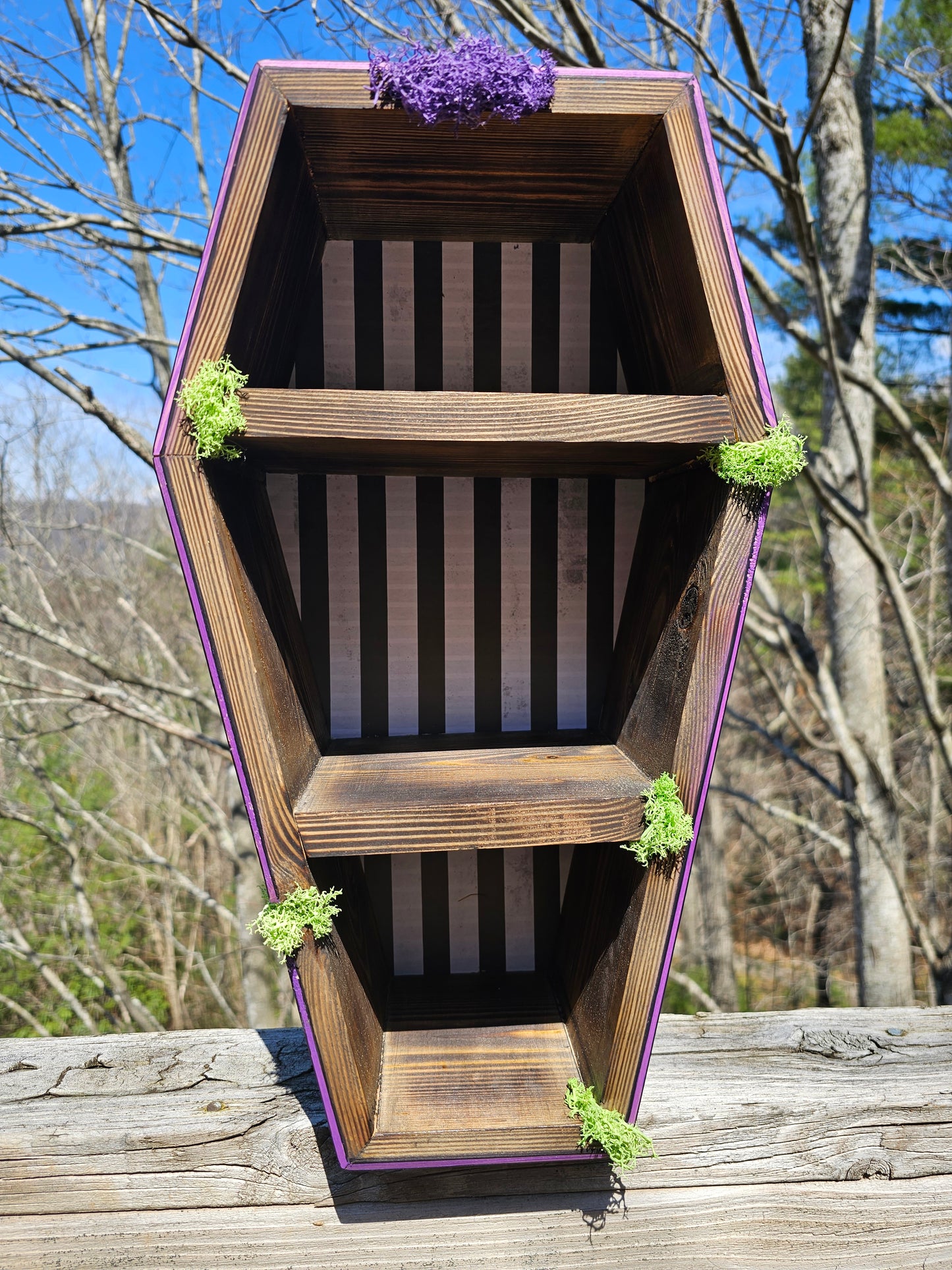 Coffin Shelf - BEETLGEUSE 2.0