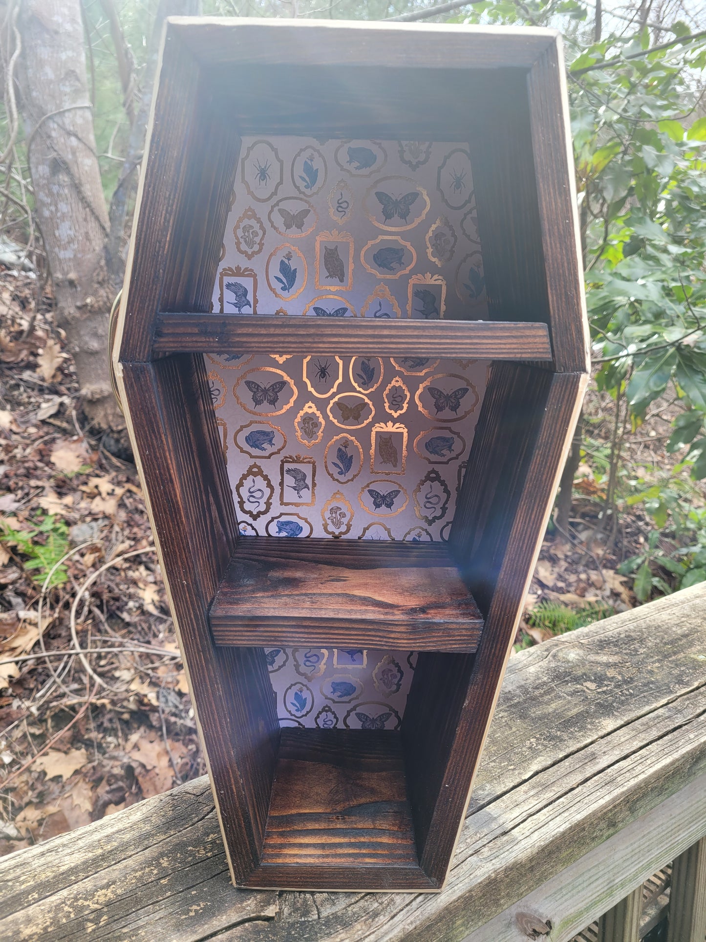 Coffin Shelves - Oddities