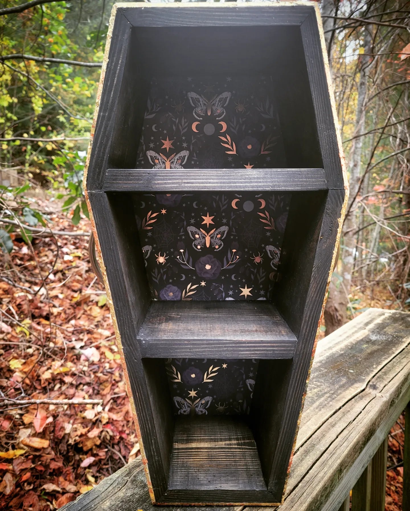Coffin Shelves - Midnight Moth Goddess